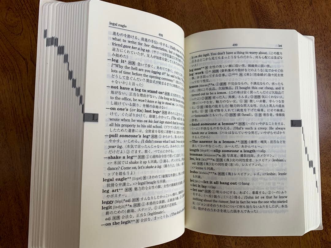 入手困難！Slang 米英俗語辞典 1996年初版 美品