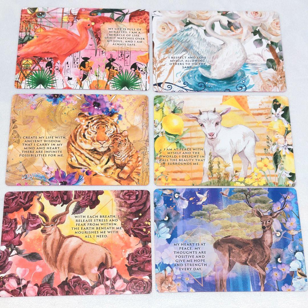 新品 ピンクエッジ♡アニマルオーラ錬金術 オラクルカード 全47枚 訳あり