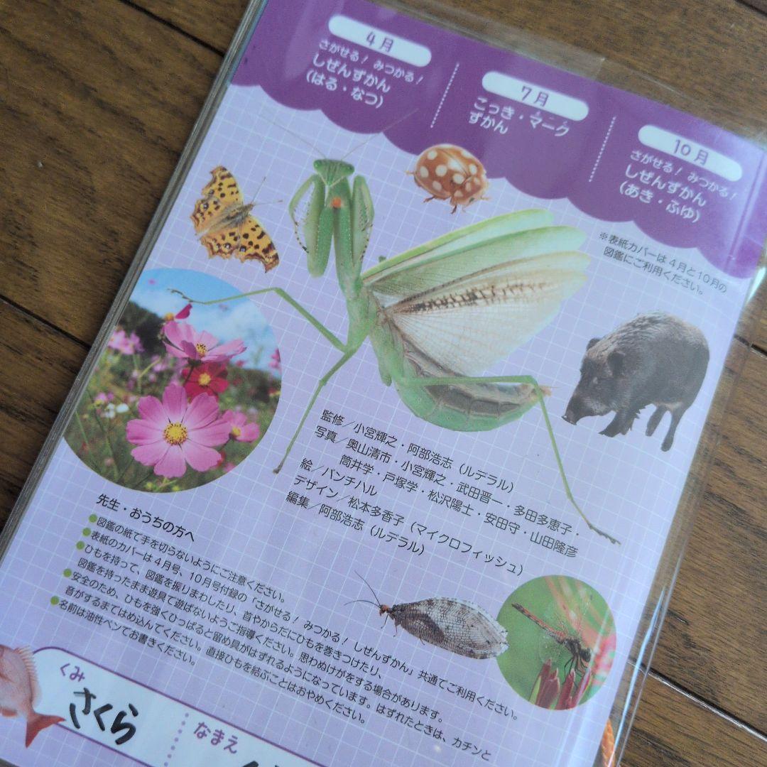 ころころえほん・しぜんシリーズ 保育園 幼稚園 絵本 フレーベル館※記名あり