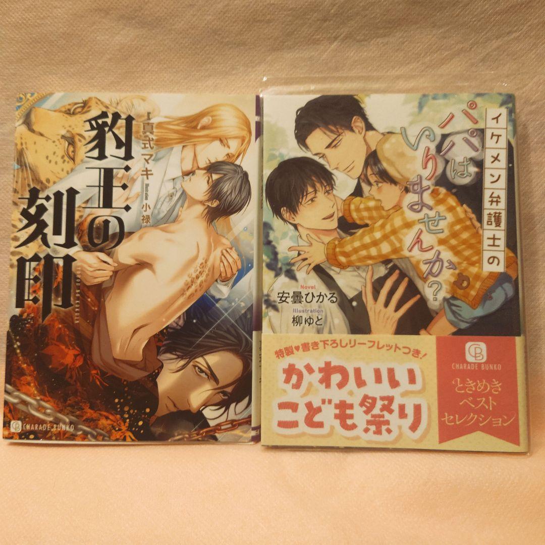 BL　30冊セット　 ばら売り可（他の出品と同梱包可能）