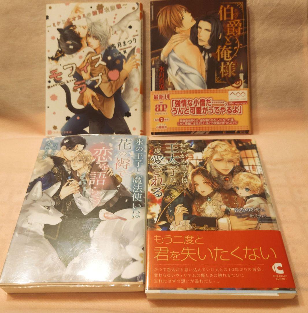 BL　30冊セット　 ばら売り可（他の出品と同梱包可能）
