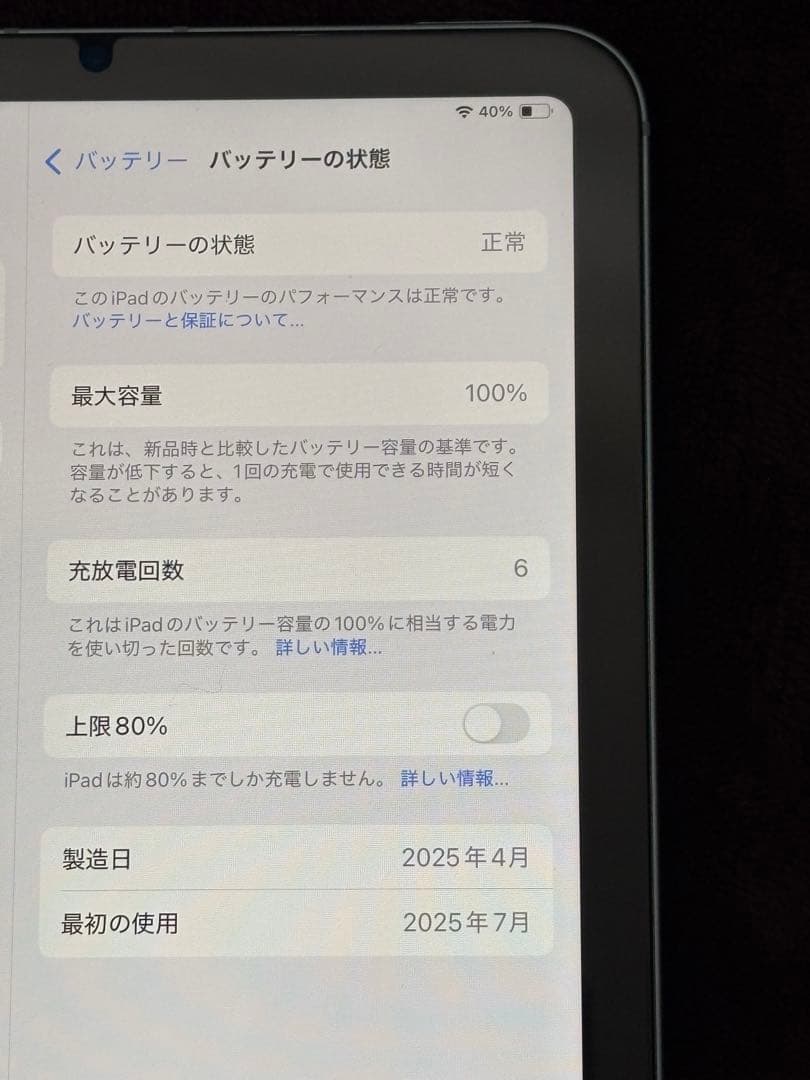 【海外版】iPad mini A17Pro WiFi+Cellular ブルー