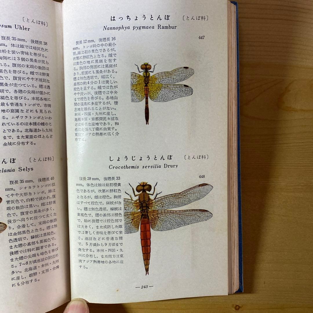 値下げしました　古書　学生版原色昆虫図鑑　2巻セット　北隆館
