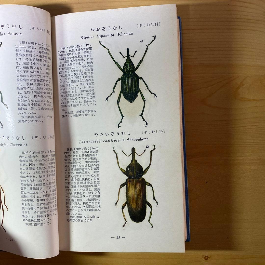 値下げしました　古書　学生版原色昆虫図鑑　2巻セット　北隆館