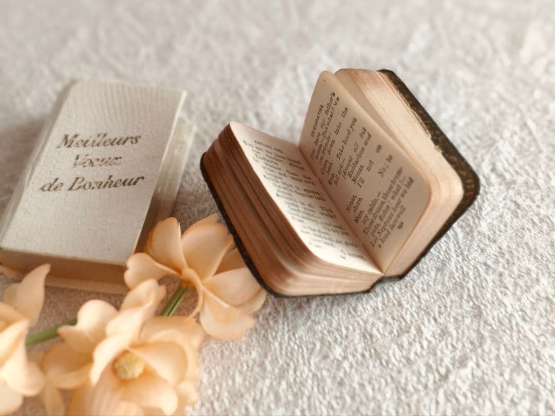 * antique mini book ❀ ミニブック シェイクスピア 豆本