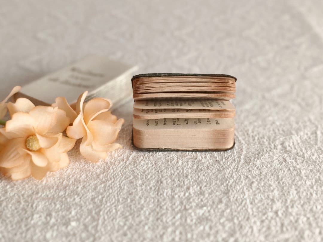 * antique mini book ❀ ミニブック シェイクスピア 豆本
