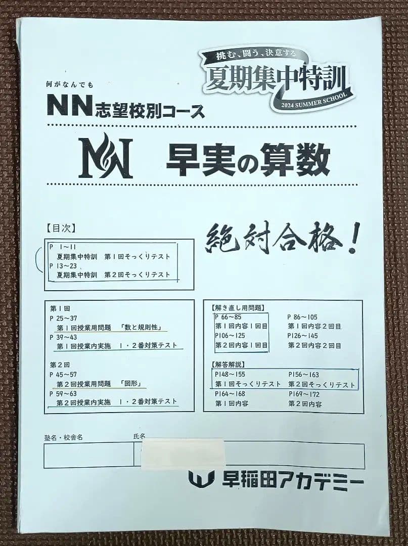 NN早実 夏期集中特訓 2024年 早稲田アカデミー 早稲田実業学校