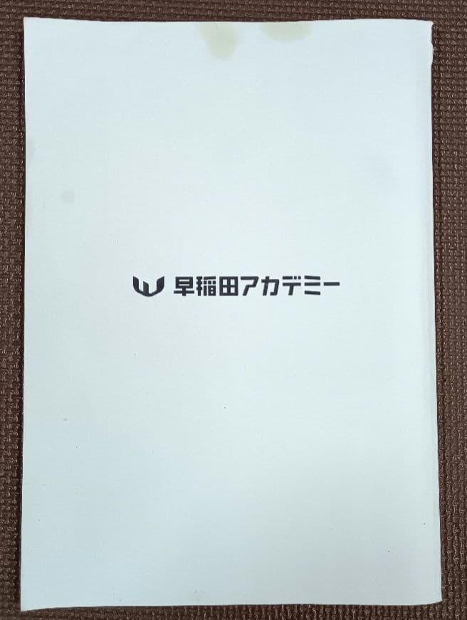 NN早実 夏期集中特訓 2024年 早稲田アカデミー 早稲田実業学校