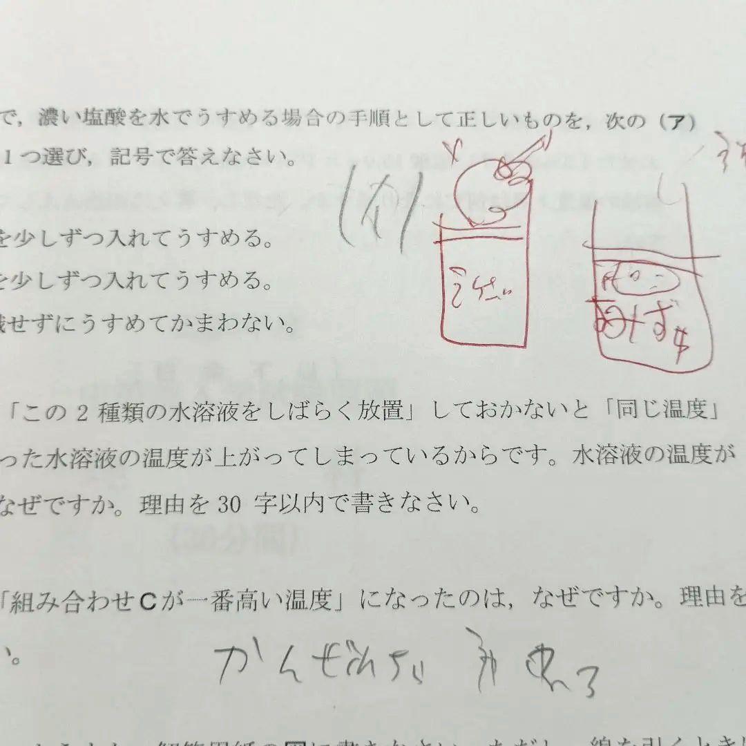 NN早実 夏期集中特訓 2024年 早稲田アカデミー 早稲田実業学校