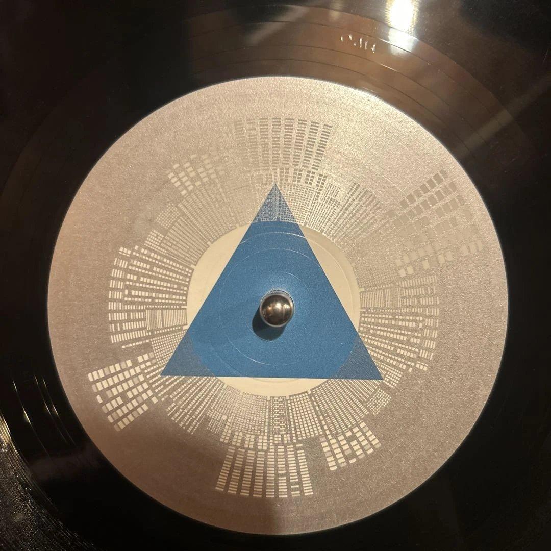洋楽 Lovebirds In The Shadows 12inch