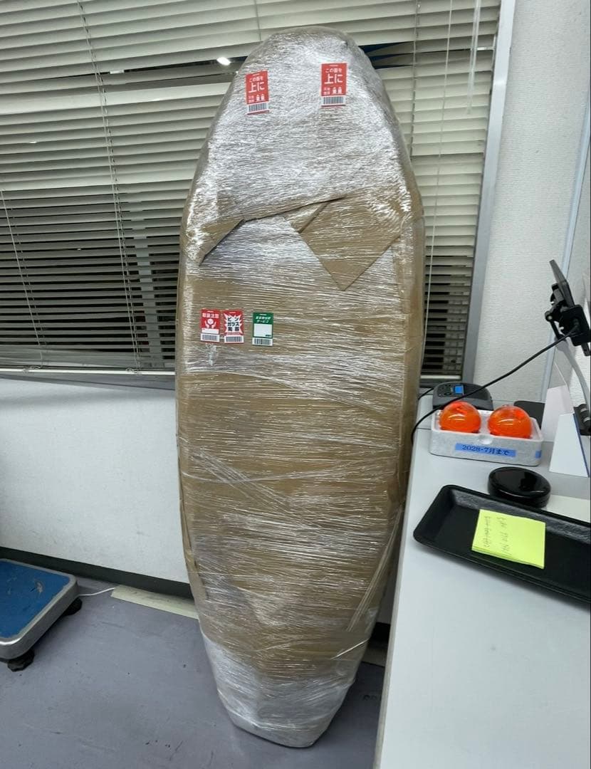 firewire サーフボードgofish 5'5 DIYカラー！ Wax剥が！