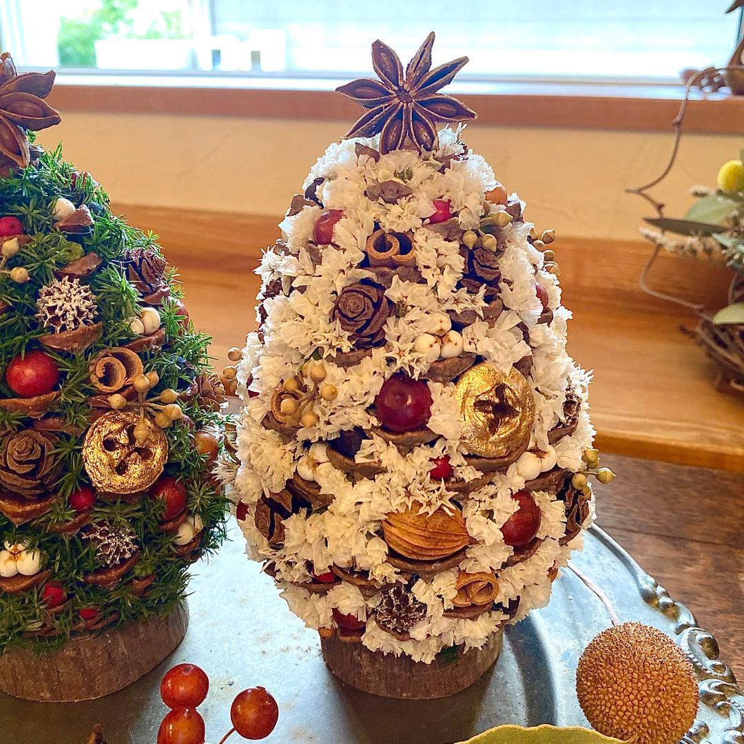 ⚠️専用品⚠️ 大王松 の 松ぼっくりツリー プリザーブド ドライフラワー ツリー