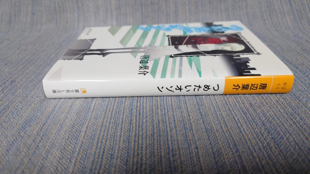 初版　つめたいオゾン 唐辺葉介