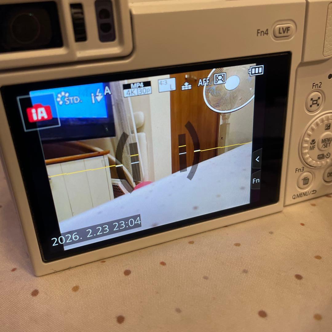 訳あり　Panasonic LUMIX DC-TZ95 Wi-Fi搭載