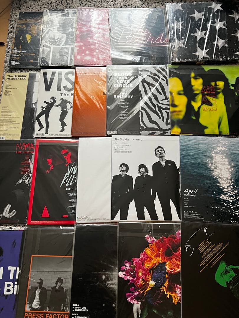 The Birthday アナログ レコード 20枚セット チバユウスケ