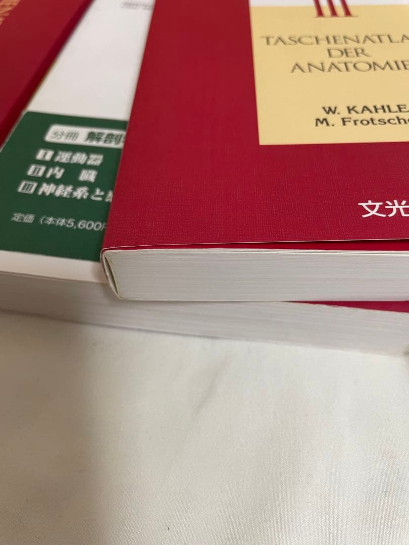 アトラス　解剖学　第6版