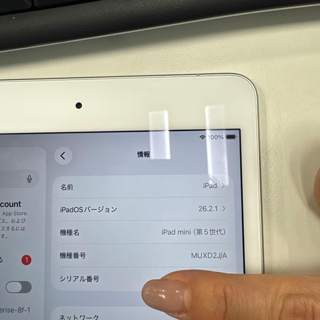 目立った傷や汚れなし｜iPad 第5世代 シルバー 容量256GB