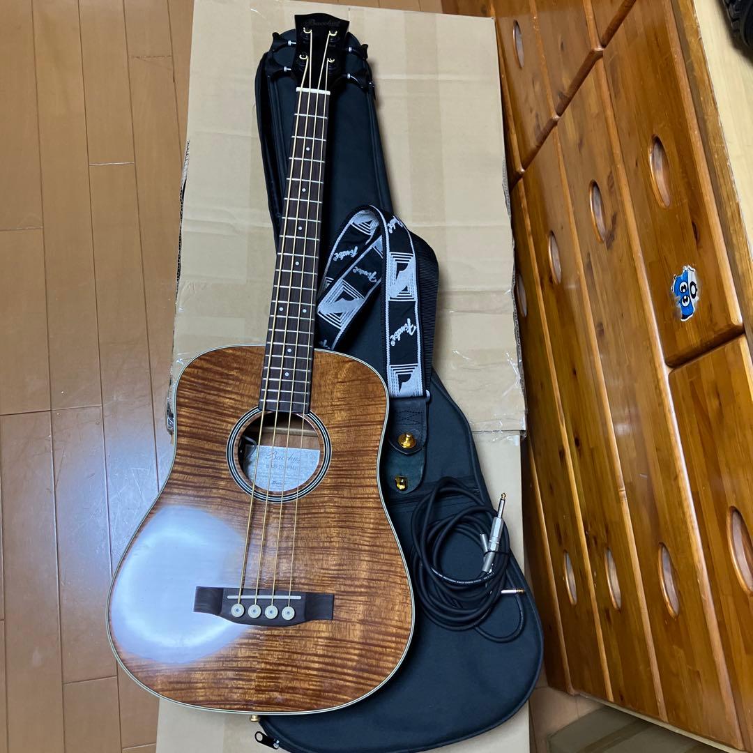 バッカス Bacchus BAB-700FMH ミニエレアコベース 超美中古品