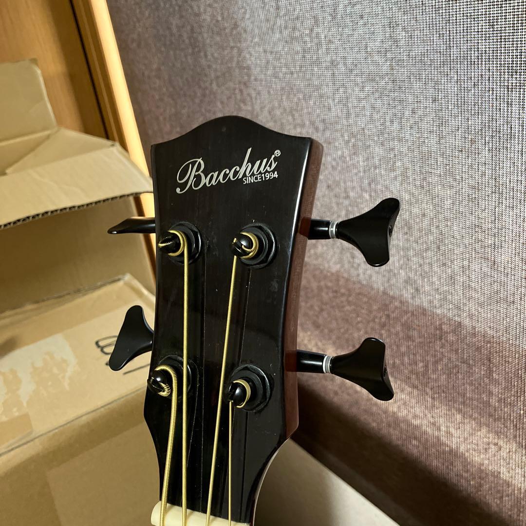 バッカス Bacchus BAB-700FMH ミニエレアコベース 超美中古品