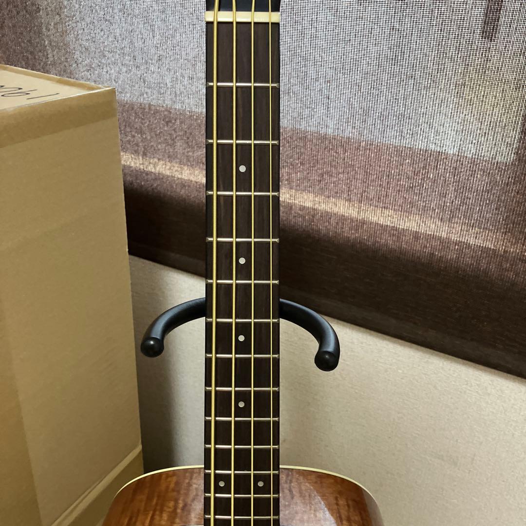 バッカス Bacchus BAB-700FMH ミニエレアコベース 超美中古品