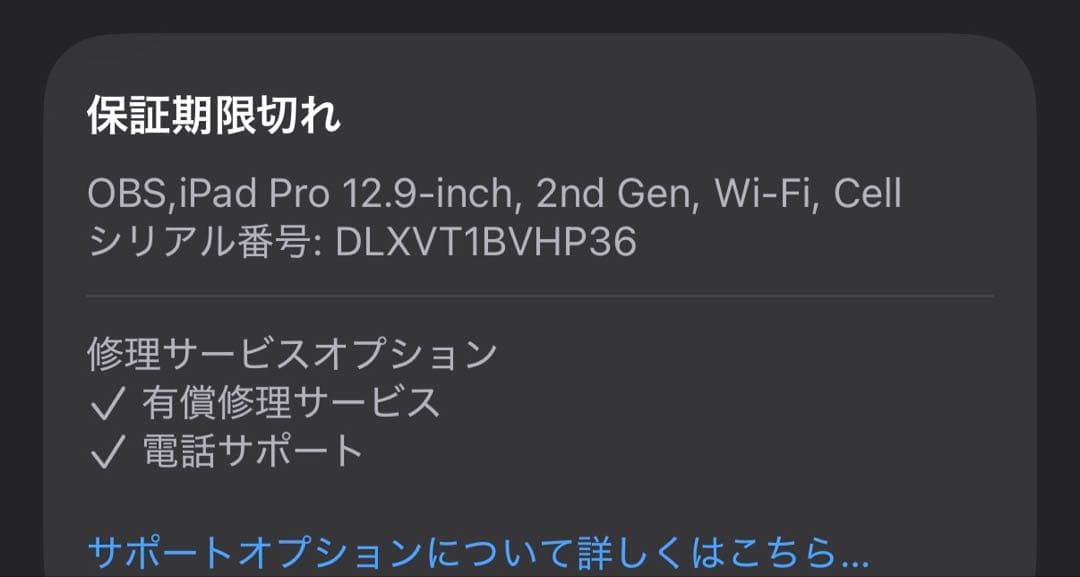 iPad Pro 12.9 第2世代 セルラー 256GB pencil