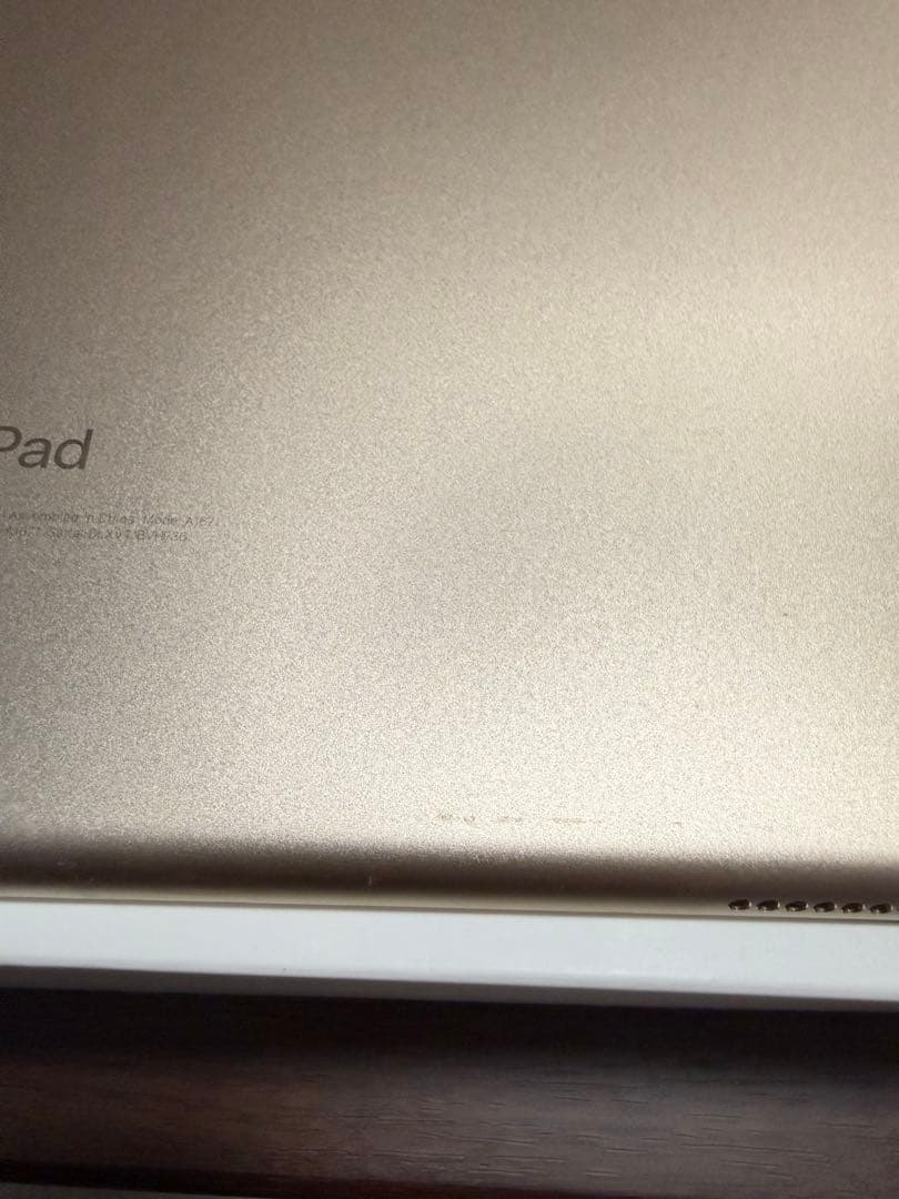 iPad Pro 12.9 第2世代 セルラー 256GB pencil