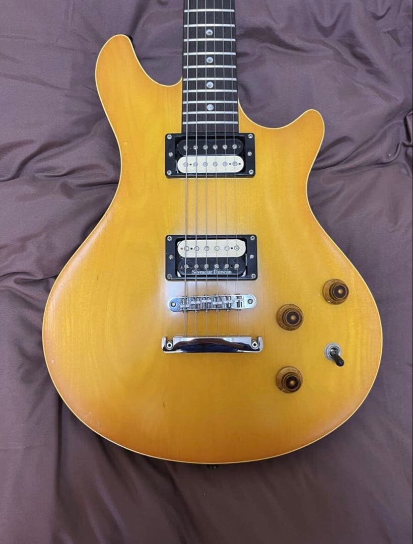 ESP Potbelly エレキギター　カスタム　注文時48万　ケース付　国産