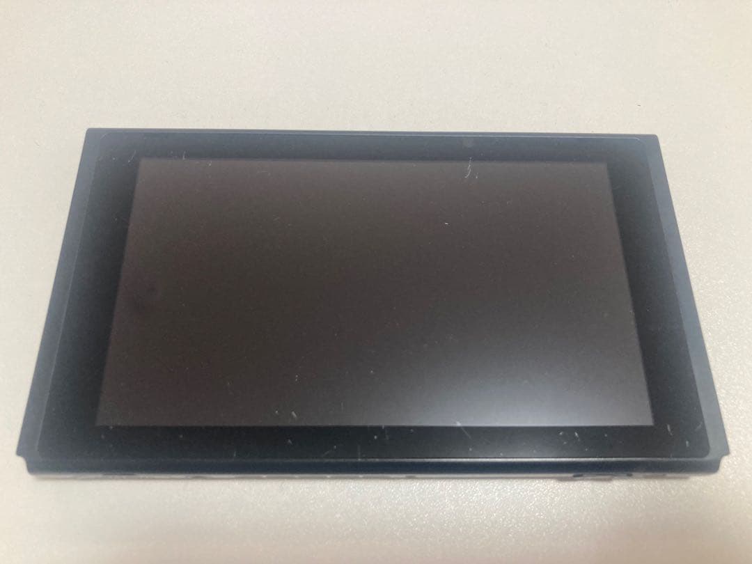 NintendoSwitchどうぶつの森本体&キャリングケースたぬきアロハ柄