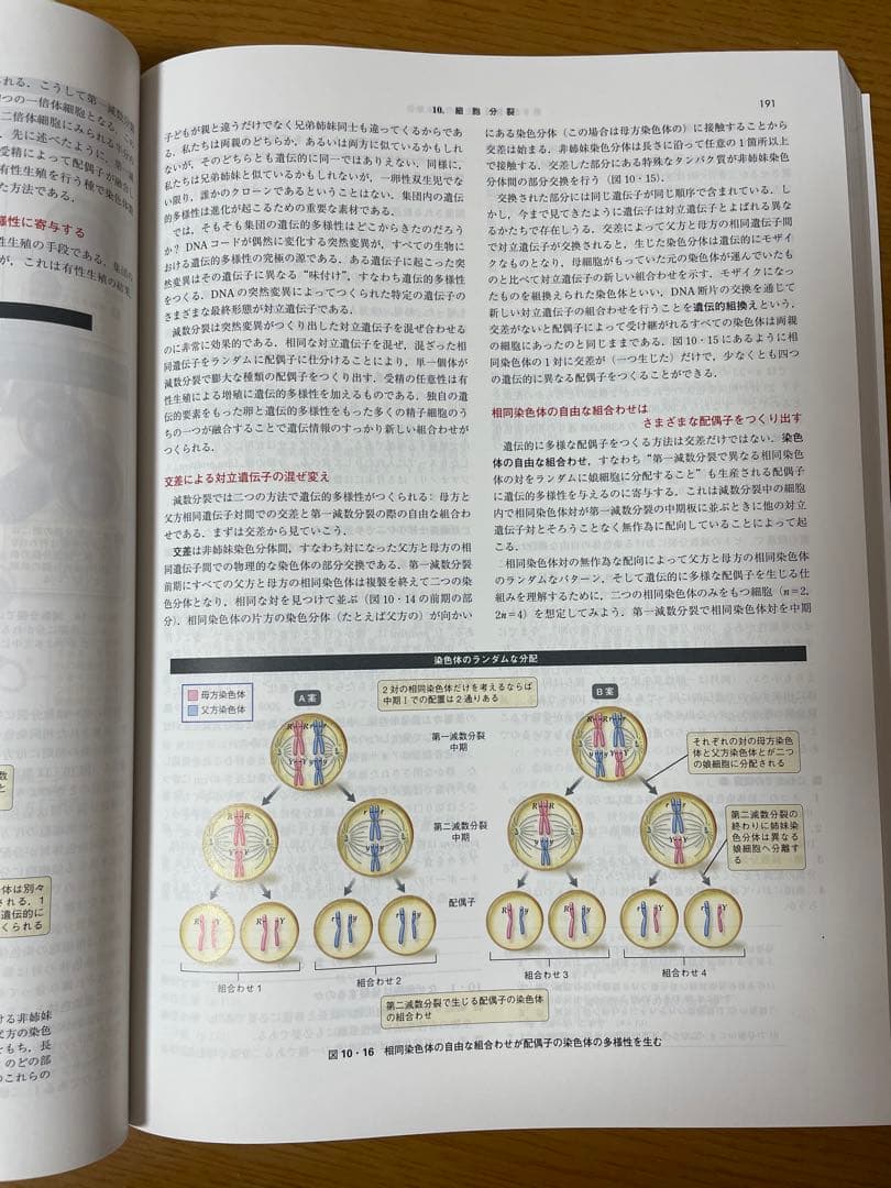 ケイン生物学