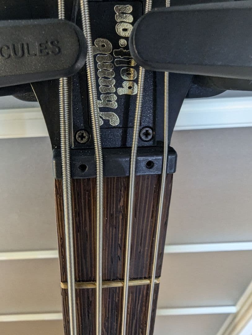 Warwick Thumb Bass BO ドイツ製