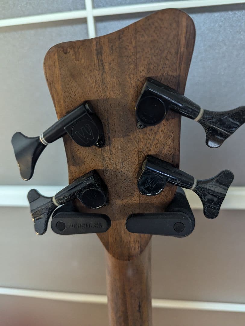 Warwick Thumb Bass BO ドイツ製