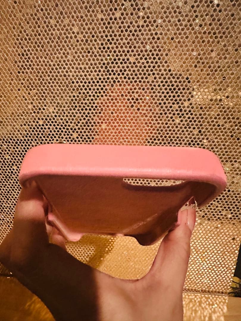 Dior iPhone 12Proケース
