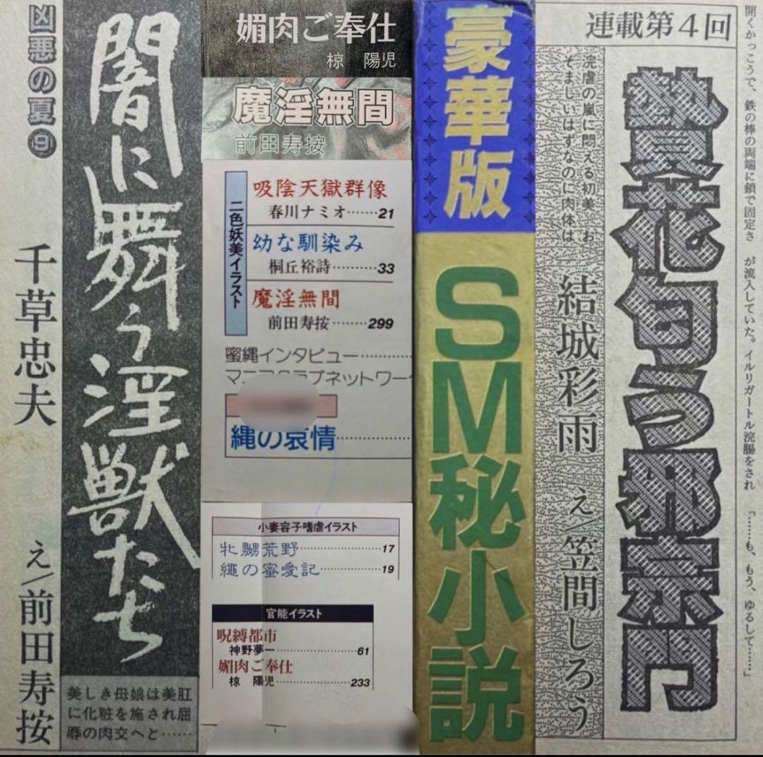 絶版】秘小説94年6月 千草忠夫 結城彩雨 　　　前田寿按 楡畑雄二 椋陽児 他