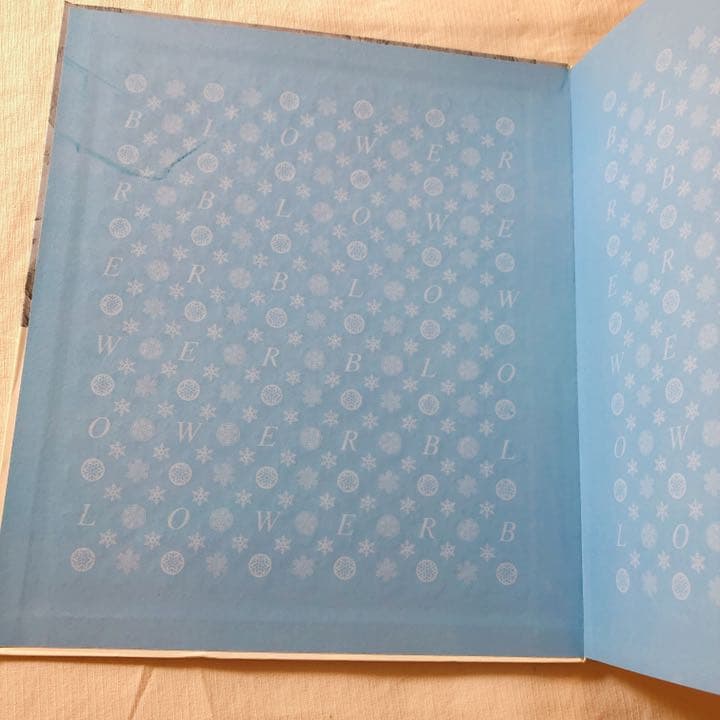 洋書 blower boarding inside out