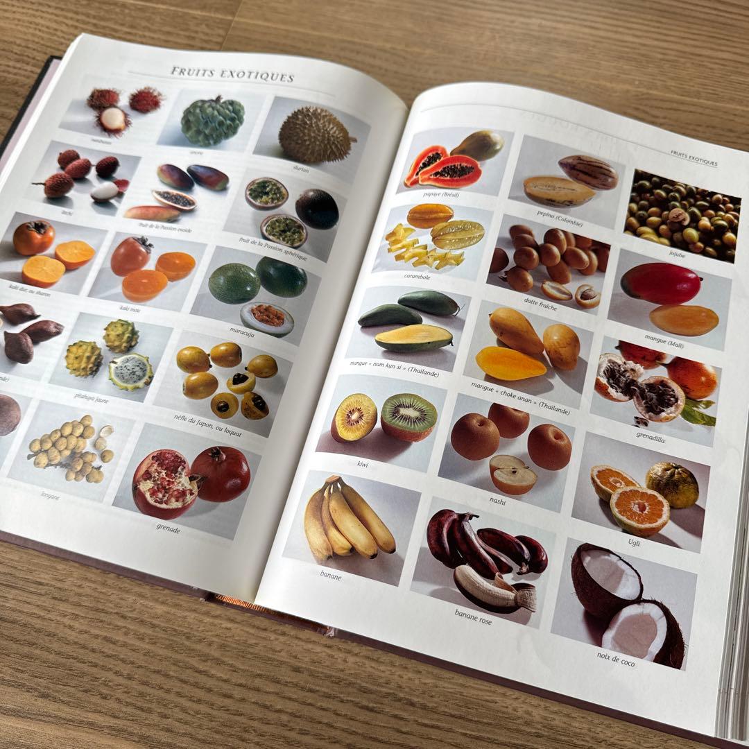 Le grand Larousse ラルース