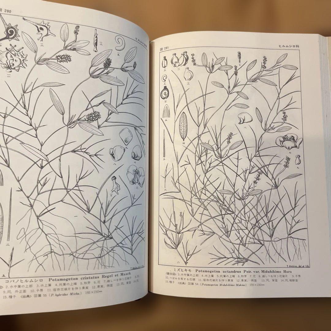 精選　牧野植物図集