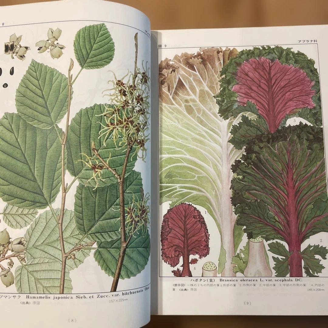 精選　牧野植物図集