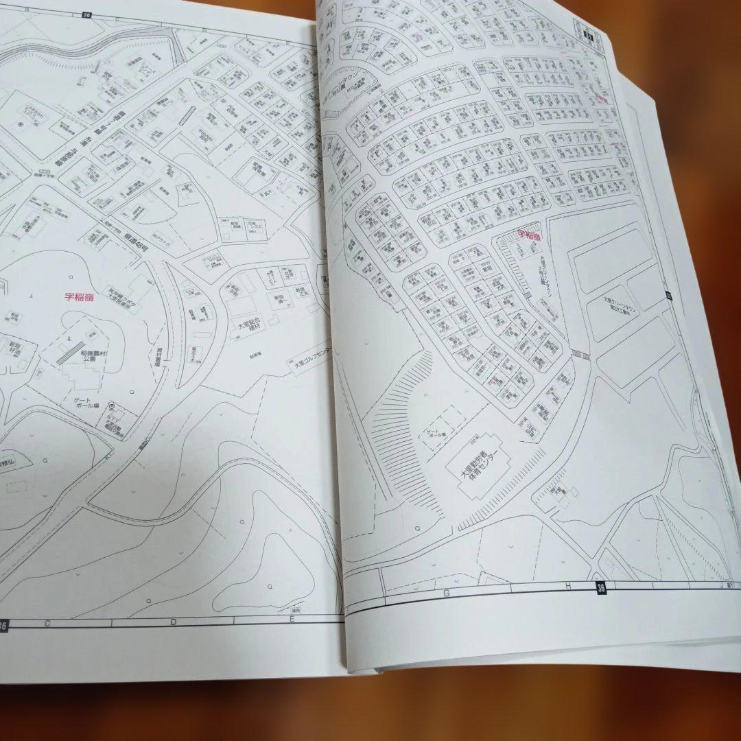 具志頭村　玉城村　大里村　沖縄 地図ガイド 　2004年版　ゼンリン　住宅地図