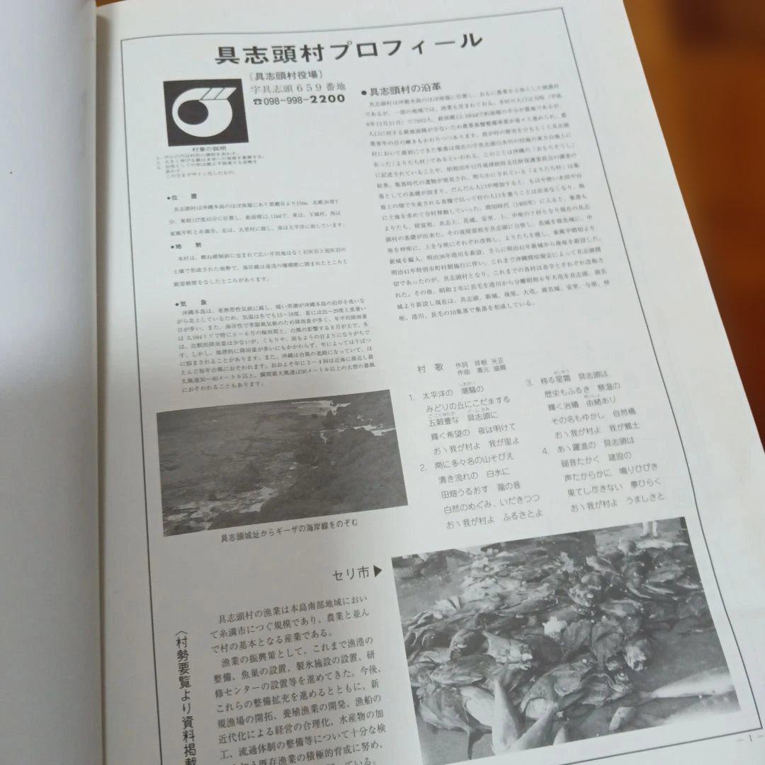 具志頭村　玉城村　大里村　沖縄 地図ガイド 　2004年版　ゼンリン　住宅地図