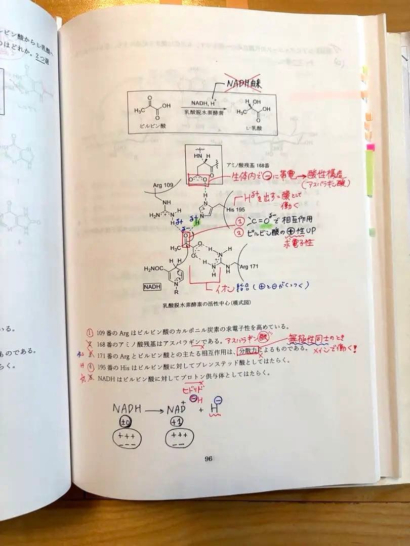 【書き込みあり！】薬ゼミ/弱点克服問題集(白問)第110回薬剤師国家試験/14冊