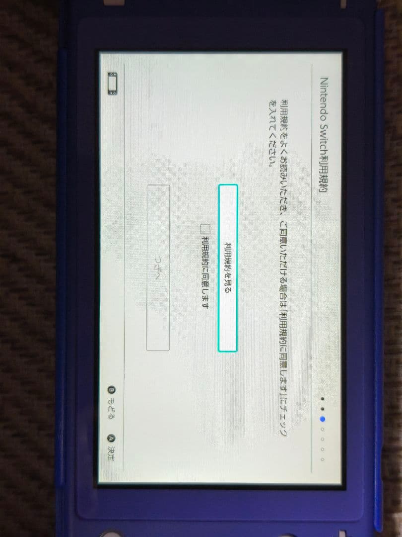 T*A様 【美品】Switch Nintendo Lite ブルー（備品付き）