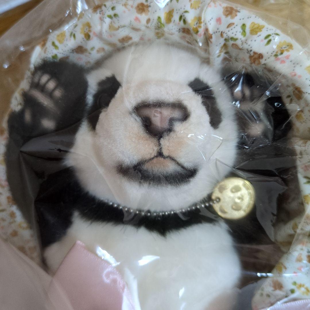 台北市立動物園　パンダ 　ユエンザイ　限定ぬいぐるみ 　未使用