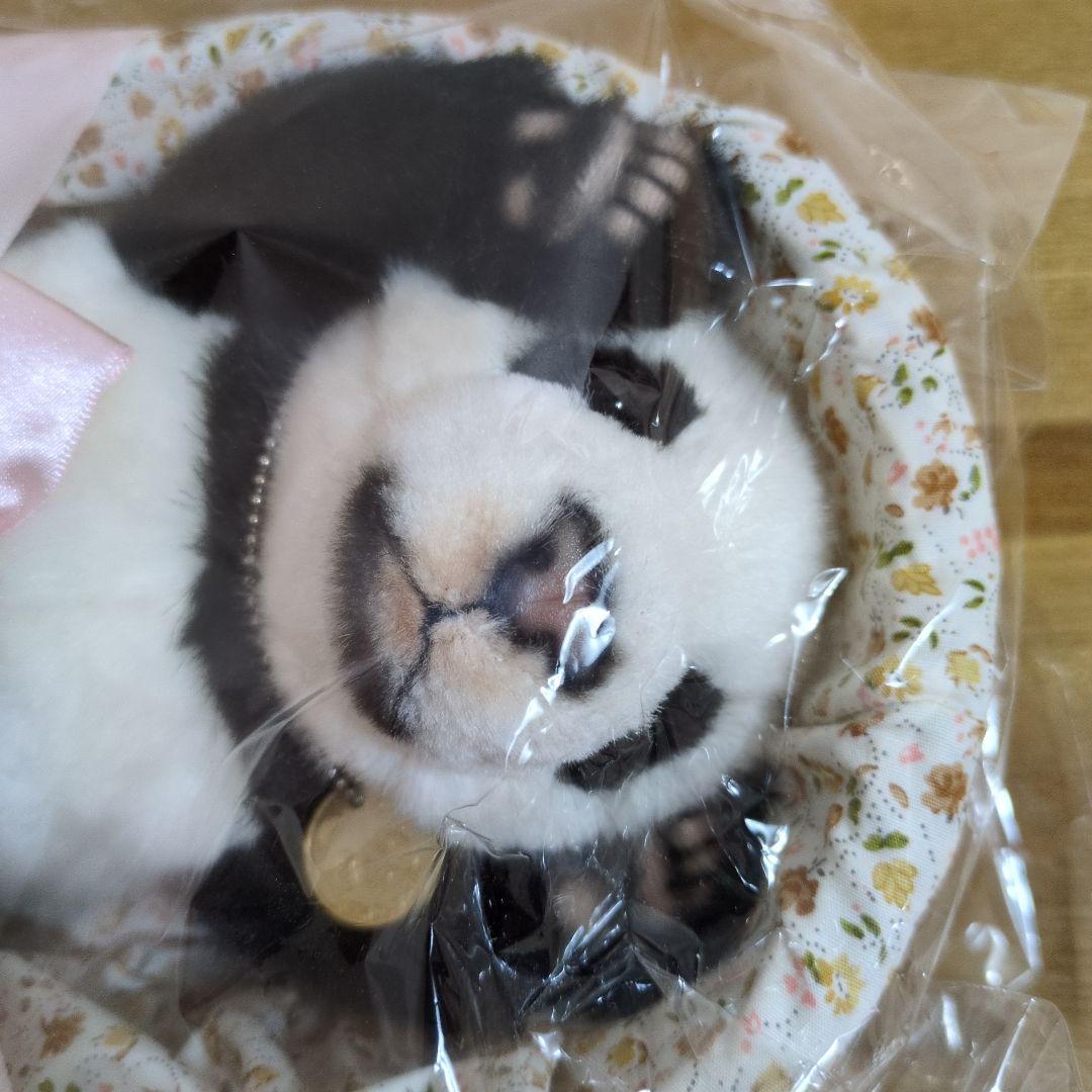 台北市立動物園　パンダ 　ユエンザイ　限定ぬいぐるみ 　未使用