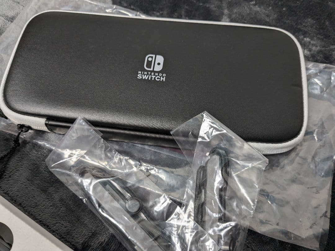 Nintendo Switch 本体 キャリングケース付き 美品
