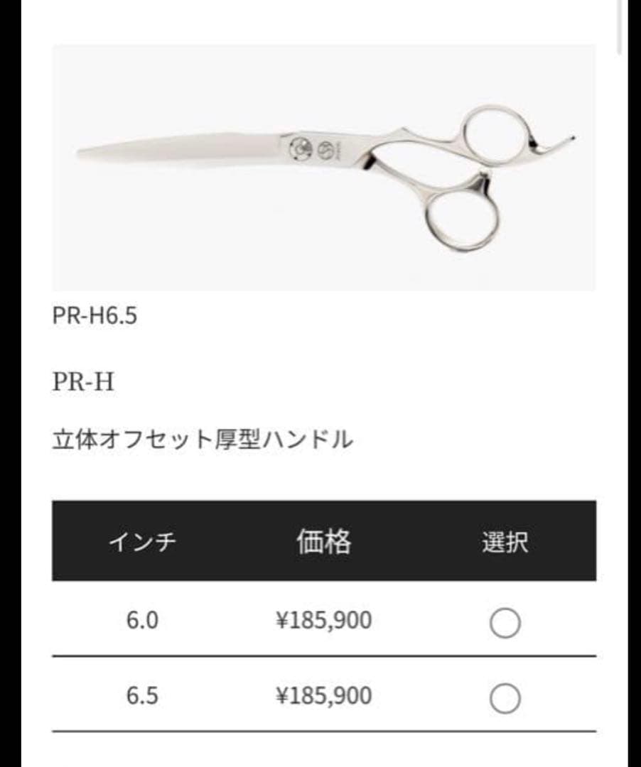 アルファシザー　最高級シザー　PR-H6.0