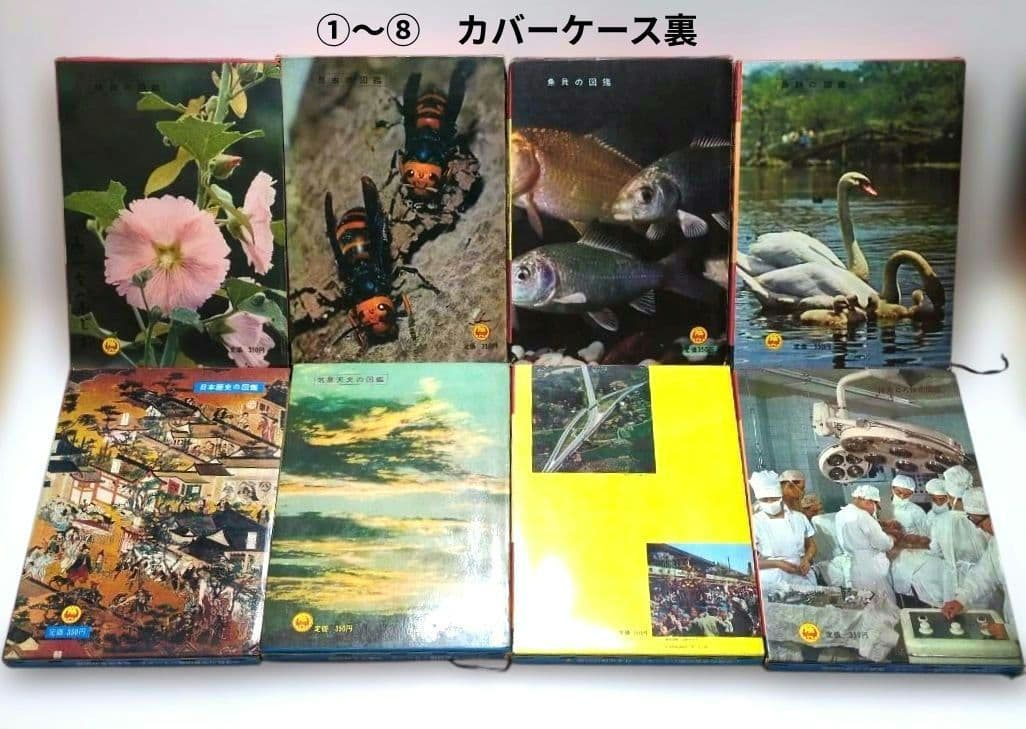 極レア 小学館 学習図鑑シリーズ 全巻揃い 昭和40年代 当時物 レトロ 現状品
