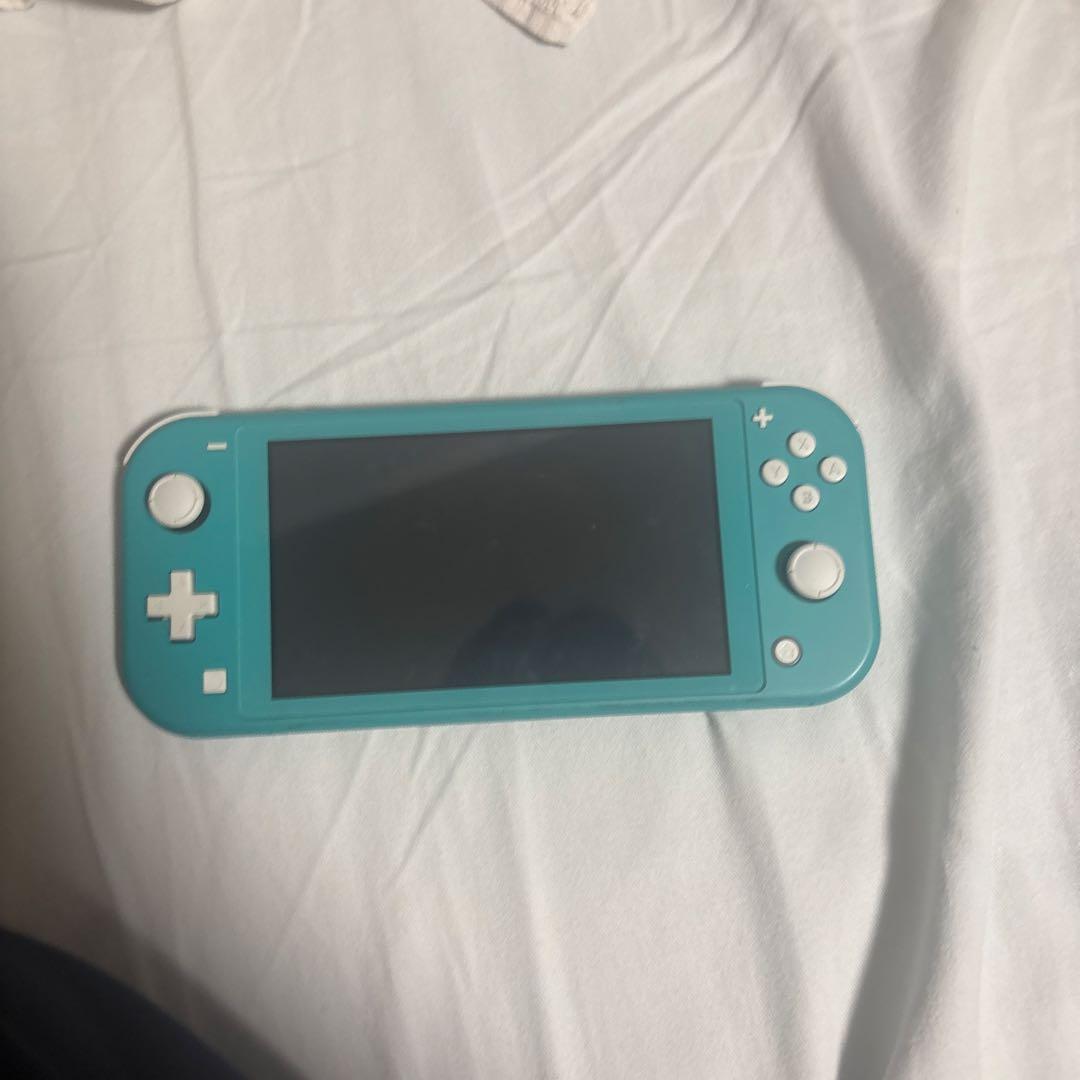 Switchライト　ケース付き