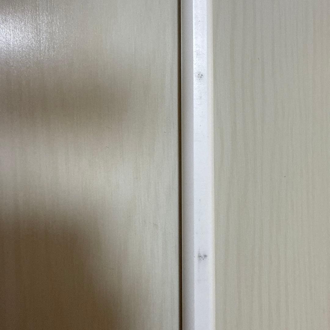 Apple Pencil pro （第2世代）