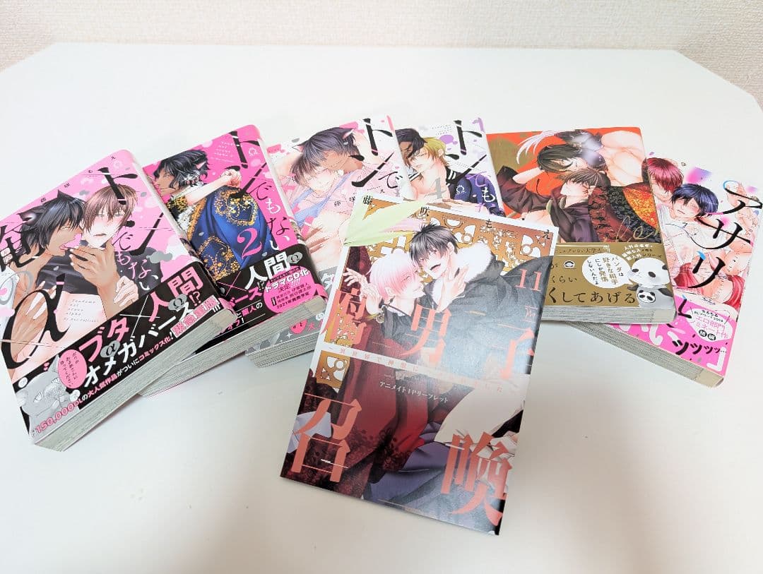 腐男子召喚 1-12巻セット　他　藤咲もえ