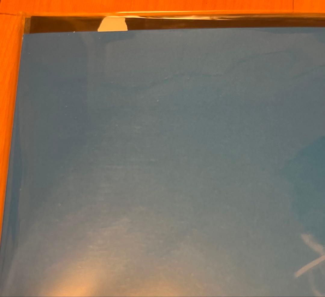 新品未使用品 AMEN DUNES death jokes